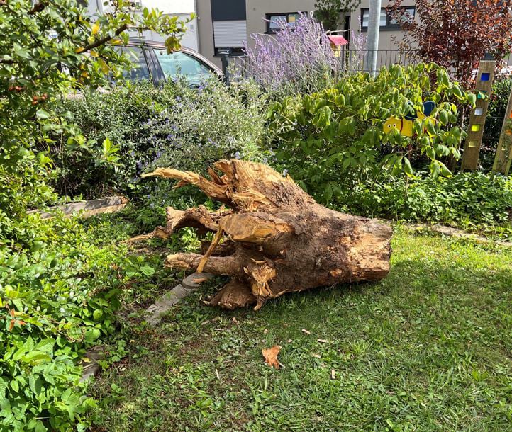 XN12-9 Bruch Verschraubung